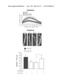 METHODS TO INHIBIT NEURODEGENERATION diagram and image