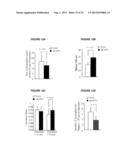 METHODS TO INHIBIT NEURODEGENERATION diagram and image