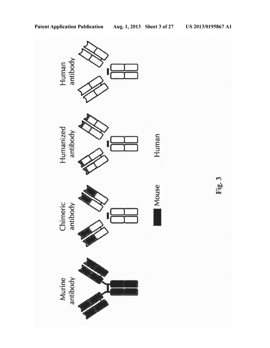 RNA-CODED ANTIBODY - diagram, schematic, and image 04