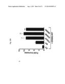 ERBB3 Mutations In Cancer diagram and image