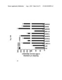 ERBB3 Mutations In Cancer diagram and image