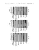 ERBB3 Mutations In Cancer diagram and image