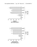 ERBB3 Mutations In Cancer diagram and image