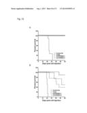 ERBB3 Mutations In Cancer diagram and image