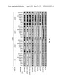 ERBB3 Mutations In Cancer diagram and image