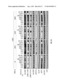 ERBB3 Mutations In Cancer diagram and image