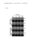 ERBB3 Mutations In Cancer diagram and image