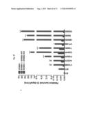 ERBB3 Mutations In Cancer diagram and image