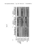 ERBB3 Mutations In Cancer diagram and image