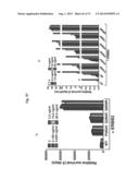 ERBB3 Mutations In Cancer diagram and image