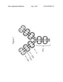 DUAL VARIABLE DOMAIN IMMUNOGLOBULINS AND USES THEREOF diagram and image