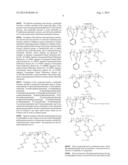 LITHOGRAPHIC PRINTING PLATE PRECURSOR diagram and image