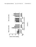 SERIAL QUANTITATIVE PCR ASSAY FOR DETECTION, SPECIES-DISCRIMINATION AND     QUANTIFICATION OF LEISHMANIA SPP. IN HUMAN SAMPLES diagram and image