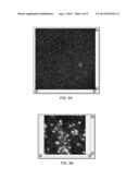 Identifying Microparticles in a Plurality of Images to Perform     Polynucleotide Sequencing diagram and image