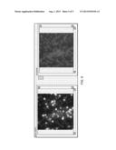 Identifying Microparticles in a Plurality of Images to Perform     Polynucleotide Sequencing diagram and image