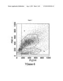 TRANSGLUTAMINASE 6 AS A DIAGNOSTIC INDICATOR OF AUTOIMMUNE DISEASES diagram and image