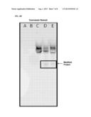 METHODS AND COMPOSITIONS FOR DETECTION OF ANALYTES diagram and image