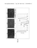 ETCHING METHOD AND ETCHING APPARATUS diagram and image