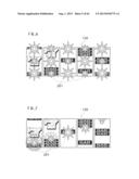 GAMING MACHINE CONDUCTING INDICATION EFFECT diagram and image