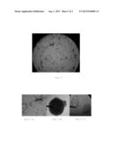 PROCESS TO MAKE PELLETIZED GRANULES BASED ON ENDOMYCORRHIZAL FUNGI COVERED     WITH MINERALS CLAYS AND THEIR COMPOSITION diagram and image