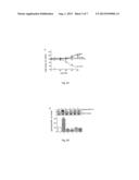 PHARMACEUTICAL COMPOSITION FOR TREATING MEDICAL CONDITIONS AND A  METHOD     FOR TREATING ALIMENTARY DISORDERS AND RELATED DISEASES diagram and image