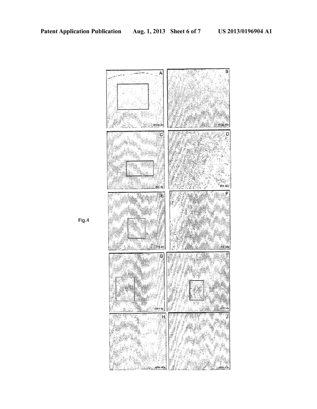 PHARMACEUTICAL COMPOSITION FOR TREATING MEDICAL CONDITIONS AND A  METHOD     FOR TREATING ALIMENTARY DISORDERS AND RELATED DISEASES - diagram, schematic, and image 07