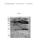 BIOMARKERS FOR DIAGNOSING AND DETECTING THE PROGRESSION OF     NEURODEGENERATIVE DISORDERS, IN PARTICULAR OF AMYOTROPHIC LATERAL     SCLEROSIS diagram and image