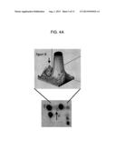 BIOMARKERS FOR DIAGNOSING AND DETECTING THE PROGRESSION OF     NEURODEGENERATIVE DISORDERS, IN PARTICULAR OF AMYOTROPHIC LATERAL     SCLEROSIS diagram and image