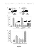 Methods and Compositions Inhibiting Tumor Cell Proliferation diagram and image