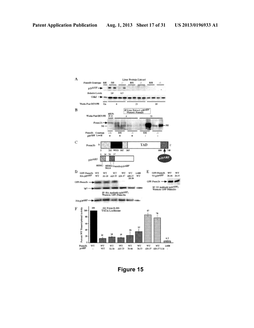 Methods and Compositions Inhibiting Tumor Cell Proliferation - diagram, schematic, and image 18