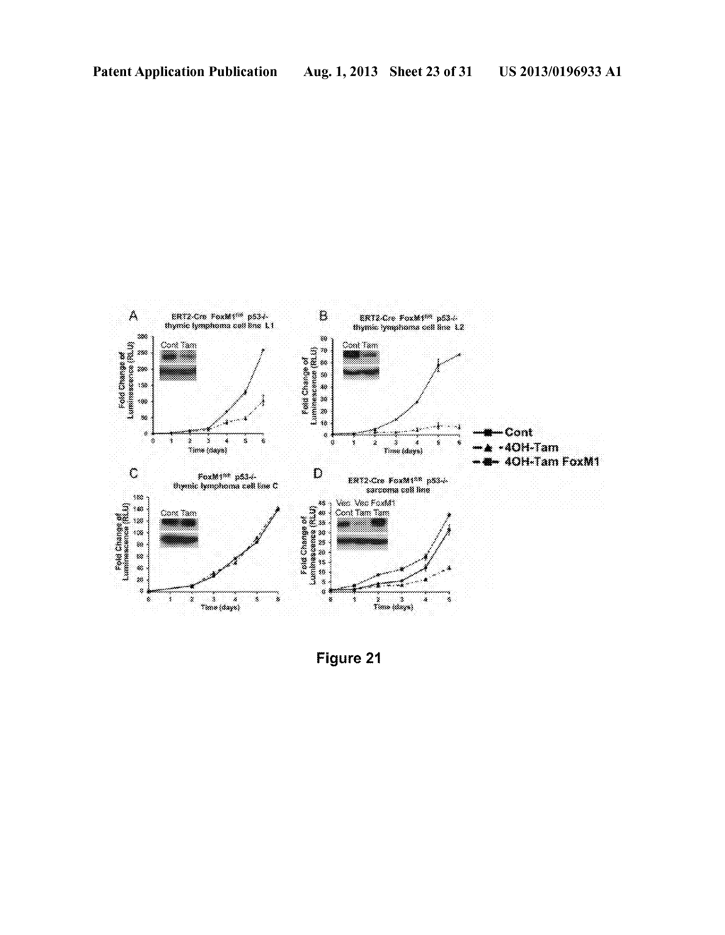 Methods and Compositions Inhibiting Tumor Cell Proliferation - diagram, schematic, and image 24