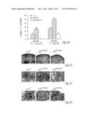 N-ACETYL MANNOSAMINE AS A THERAPEUTIC AGENT diagram and image