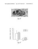 N-ACETYL MANNOSAMINE AS A THERAPEUTIC AGENT diagram and image