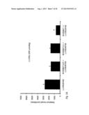 PHENYLPIPERIDINE COMPOUNDS FOR THE TREATMENT OF NEUROLOGICAL AND     PSYCHIATRIC DISORDERS diagram and image