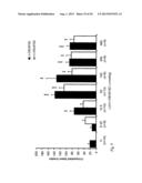 PHENYLPIPERIDINE COMPOUNDS FOR THE TREATMENT OF NEUROLOGICAL AND     PSYCHIATRIC DISORDERS diagram and image