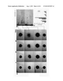 METHOD FOR REDUCING EXPRESSION OF DOWNREGULATED IN RENAL CELL CARCINOMA IN     MALIGNANT GLIOMAS diagram and image