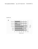 METHOD FOR REDUCING EXPRESSION OF DOWNREGULATED IN RENAL CELL CARCINOMA IN     MALIGNANT GLIOMAS diagram and image