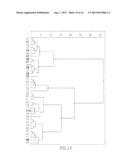 MICRORNA PATTERNS FOR THE DIAGNOSIS, PROGNOSIS AND TREATMENT OF MELANOMA diagram and image