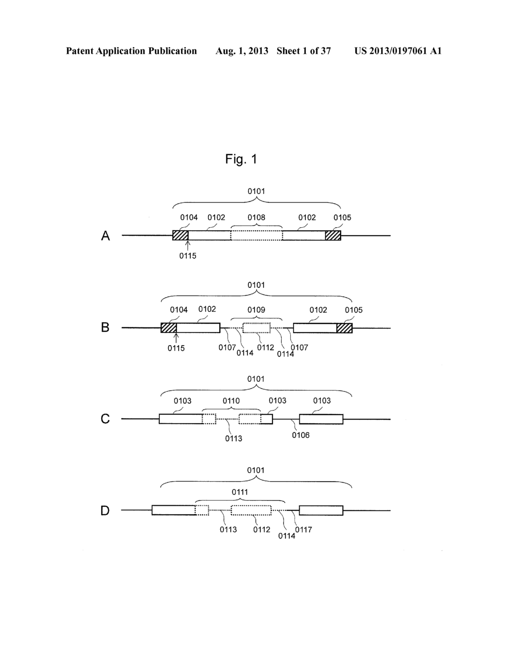 AGENT FOR SUPPRESSING EXPRESSION OF DOMINANT MUTANT GENE - diagram, schematic, and image 02