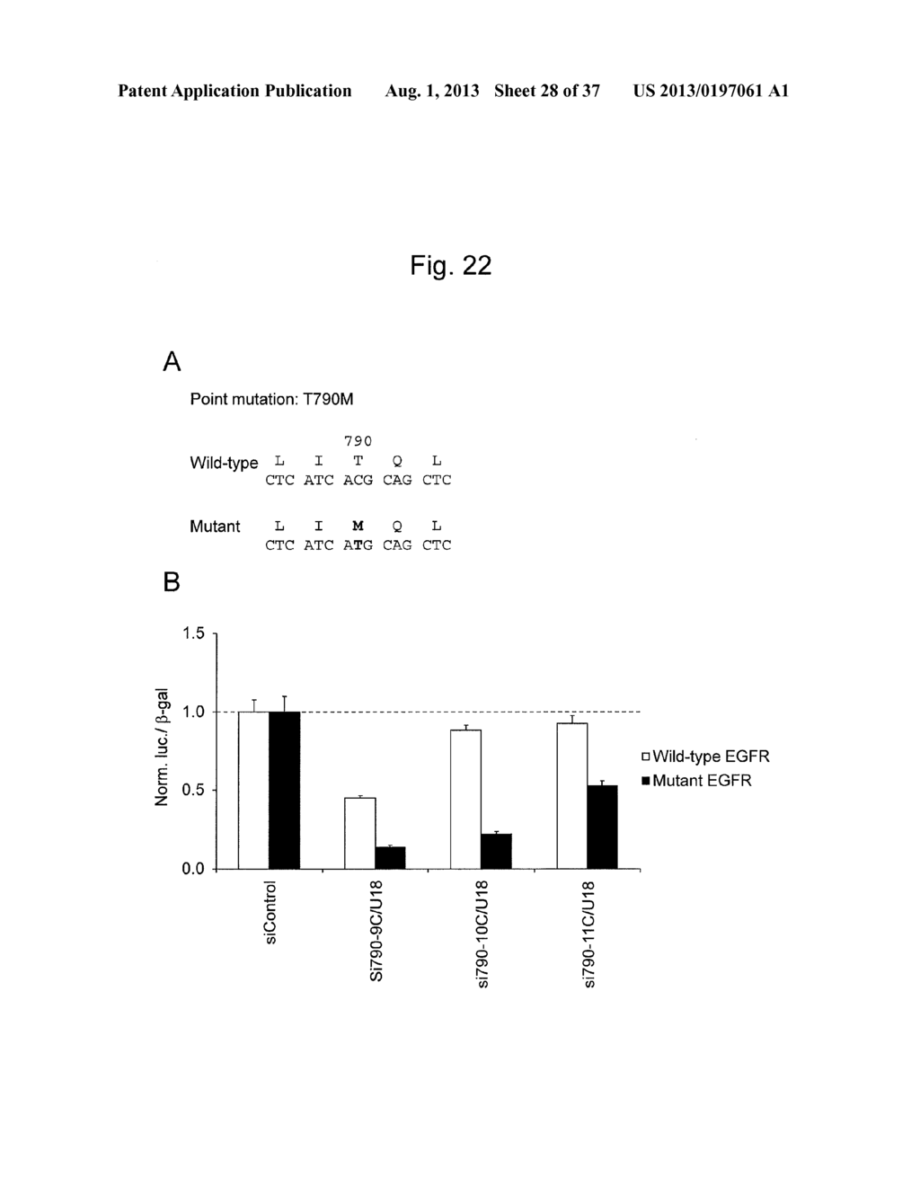 AGENT FOR SUPPRESSING EXPRESSION OF DOMINANT MUTANT GENE - diagram, schematic, and image 29