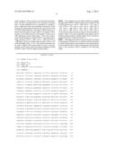 METHOD AND COMPOSITION FOR ALVEOLAR EPITHELIAL CELL-SPECIFIC NUCLEIC ACID     NUCLEAR IMPORT diagram and image