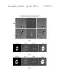 USE OF ADRENERGIC BETA-3-RECEPTOR AGONISTS IN ANTI-AGING diagram and image