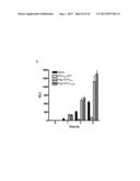 PROTEIN PRODUCTION diagram and image