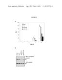 PROTEIN PRODUCTION diagram and image