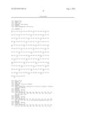 PROTEIN PRODUCTION diagram and image