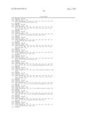 PROTEIN PRODUCTION diagram and image