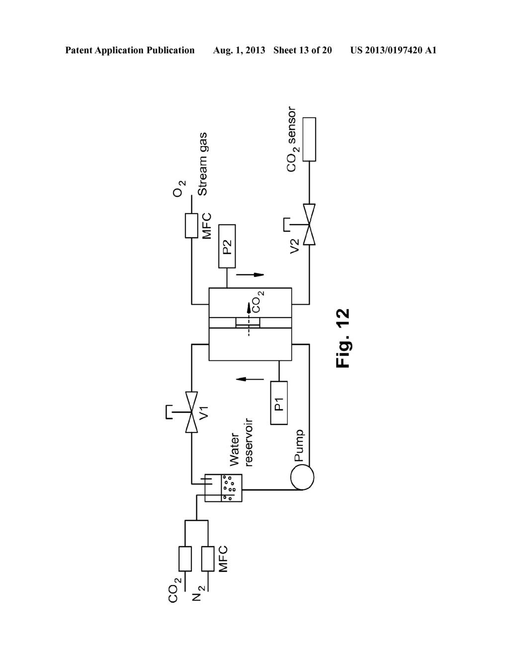 NANOPOROUS MEMBRANES, DEVICES, AND METHODS FOR RESPIRATORY GAS EXCHANGE - diagram, schematic, and image 14