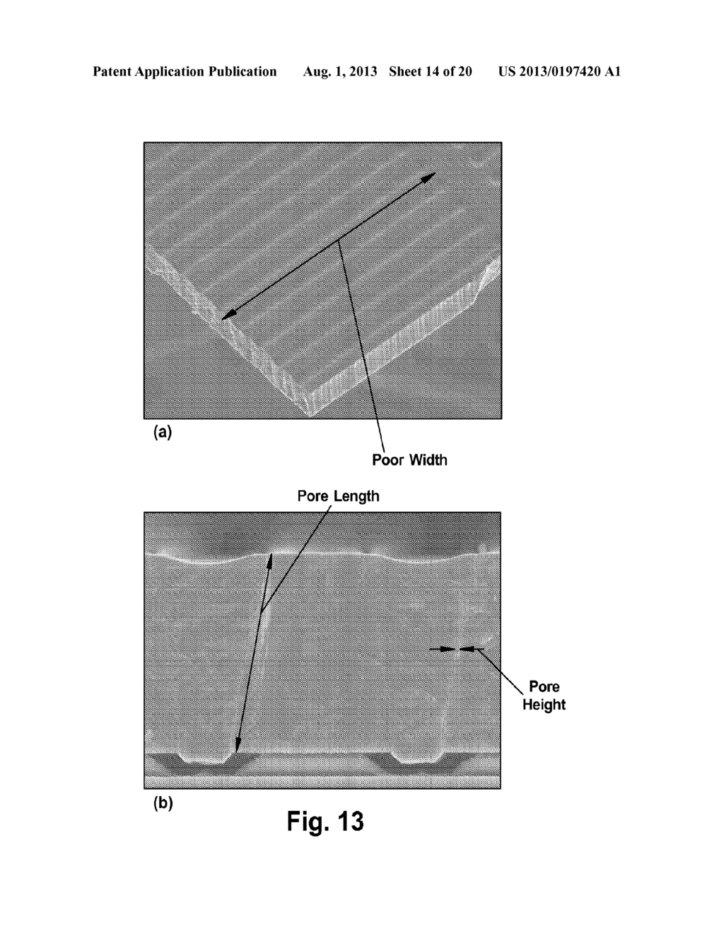 NANOPOROUS MEMBRANES, DEVICES, AND METHODS FOR RESPIRATORY GAS EXCHANGE - diagram, schematic, and image 15