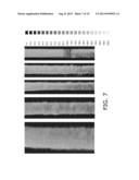 STABLE THERMOELECTRIC DEVICES diagram and image