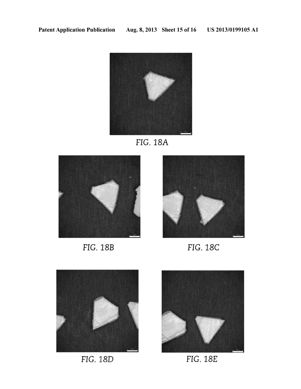 SHAPED ABRASIVE PARTICLE AND METHOD OF FORMING SAME - diagram, schematic, and image 16